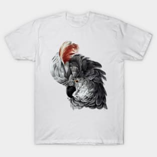 Parrot with red "hair" T-Shirt